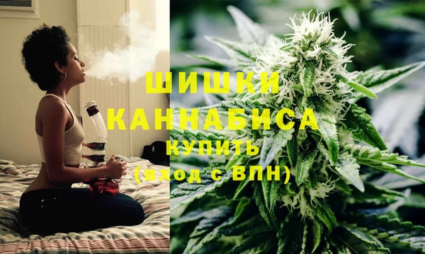 гашик Нефтекумск