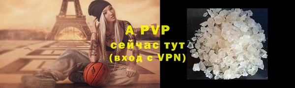 ГАЛЛЮЦИНОГЕННЫЕ ГРИБЫ Наволоки