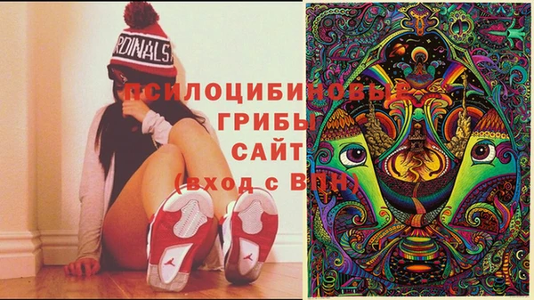 дмт Билибино
