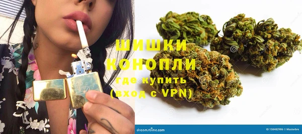 гашик Нефтекумск
