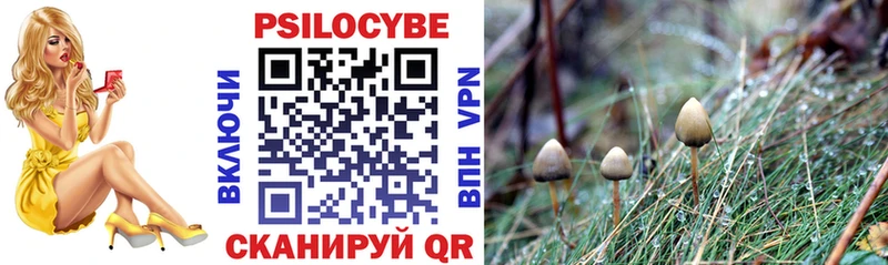 Галлюциногенные грибы мухоморы Фёдоровский